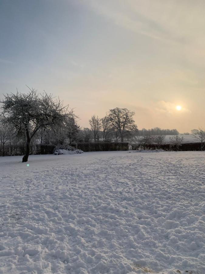 Apartmán Bulagergaard Vejen Exteriér fotografie