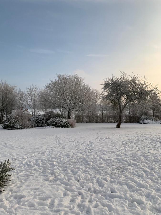 Apartmán Bulagergaard Vejen Exteriér fotografie